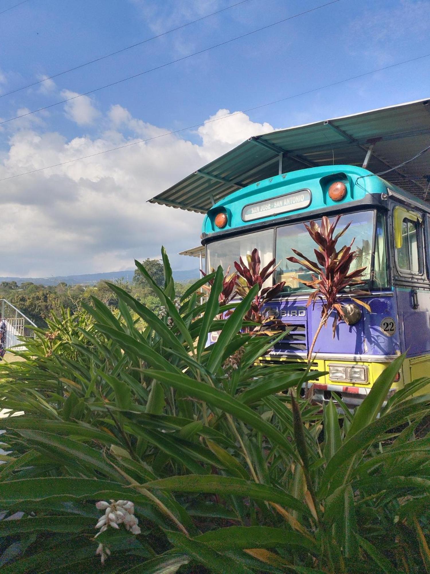 Dreamcatcher House Bus Experience 2 Sarchí Extérieur photo